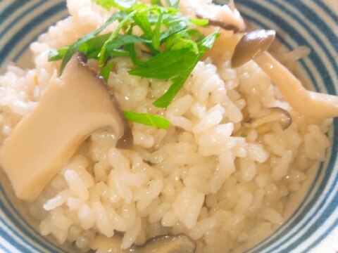 生姜と葱がほんのり香るキノコの炊き込みご飯